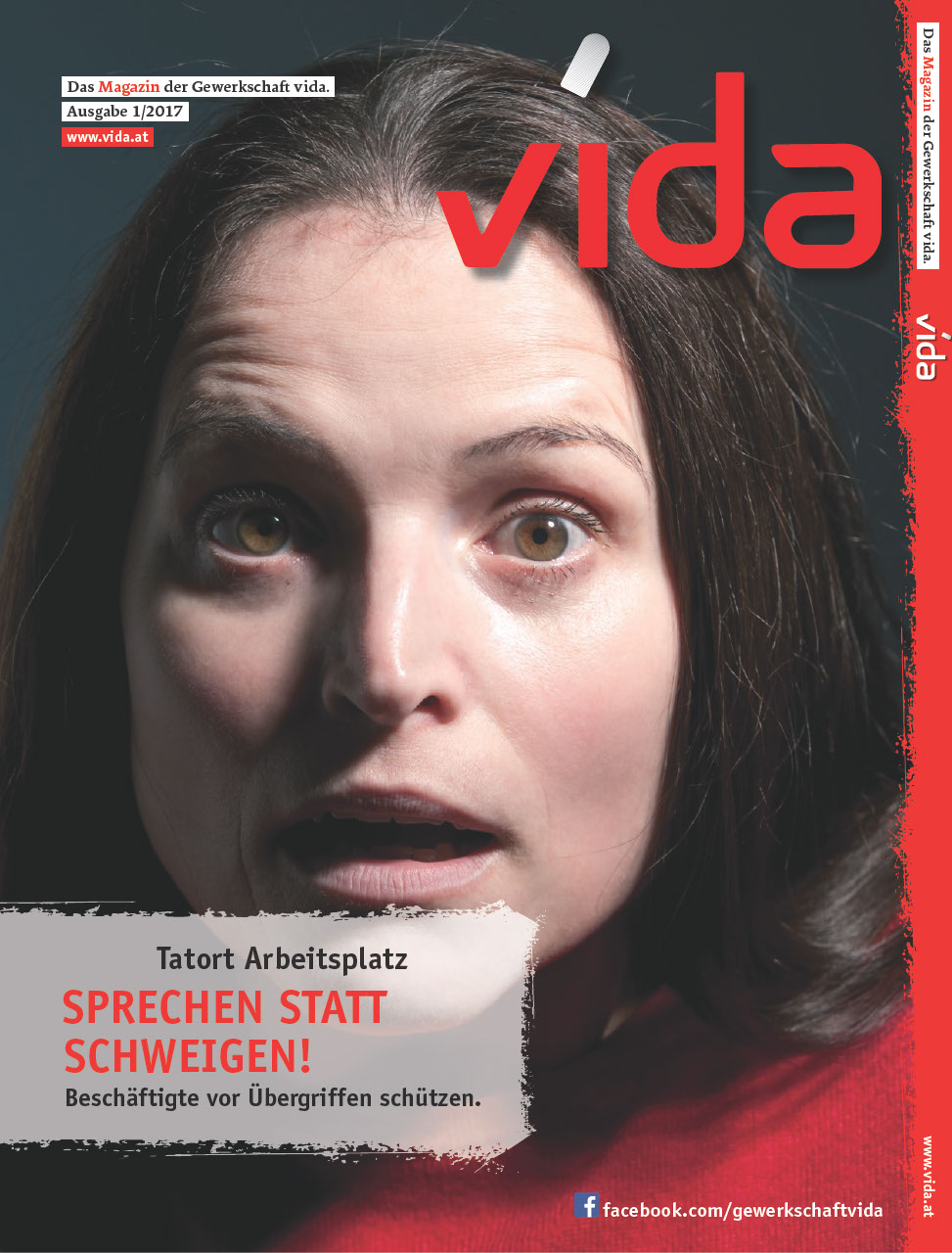 vida Magazin 1/2017 - Sprechen statt schweigen.